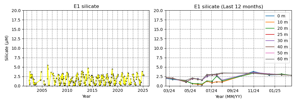 Surface Silicate data