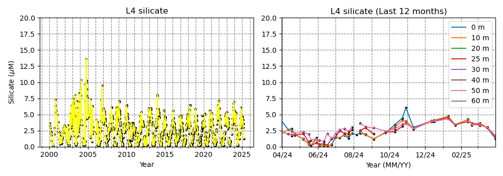 Surface Silicate data