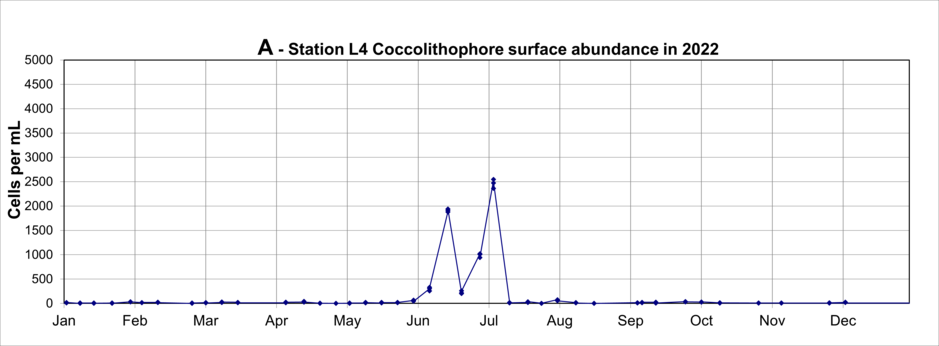 Concentrations of Coccolithophores during 2022