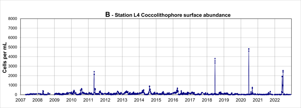 Concentrations of Coccolithophores for entire series