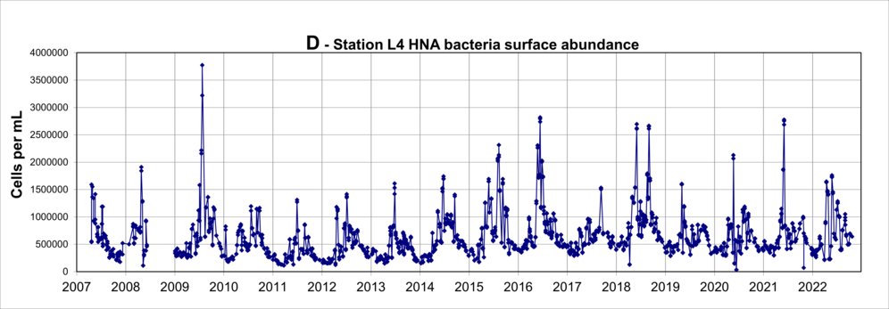 Concentrations of HNA bacteria