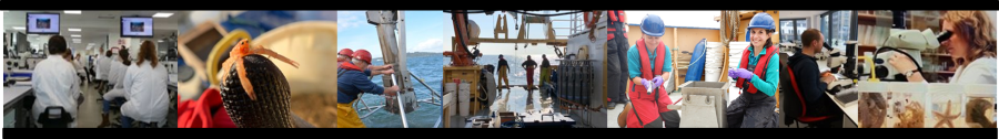 Benthic Survey pictures