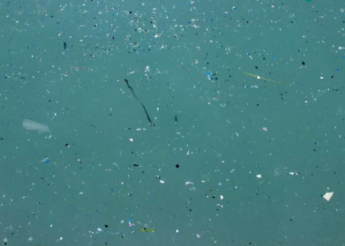Microplastic Research