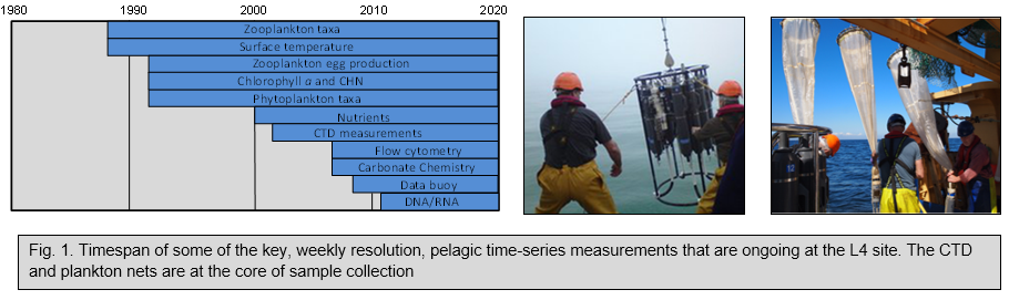 Pelagic Survey Timespan