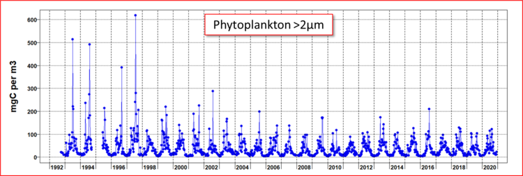 2um fraction of phytoplankton at L4